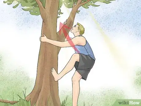 Image titled Free Climb a Tree Step 4