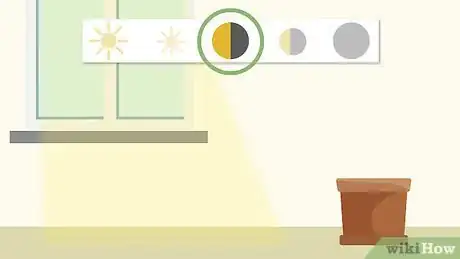 Image titled Plant Lily of the Valley Step 8