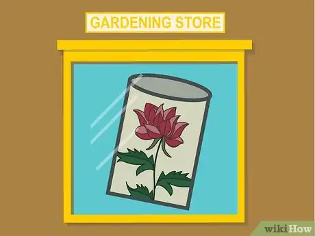 Image titled Grow Chrysanthemums Step 05