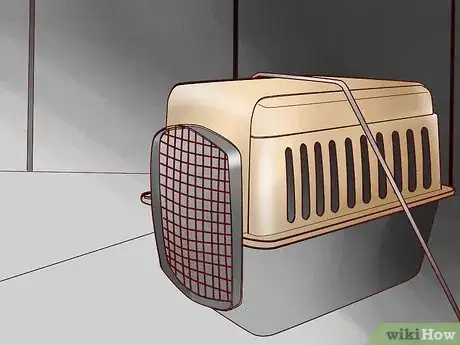 Image titled Travel Long Distance With a Cat Step 13