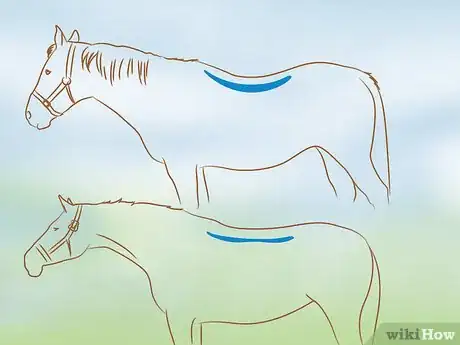 Image titled Fit a Western Saddle Step 3