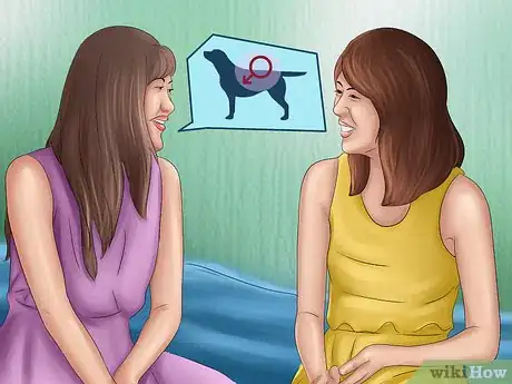 Image titled Buy a Chocolate Labrador Step 11