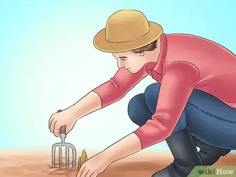 Image titled Transplant Resurrection Lilies Step 7