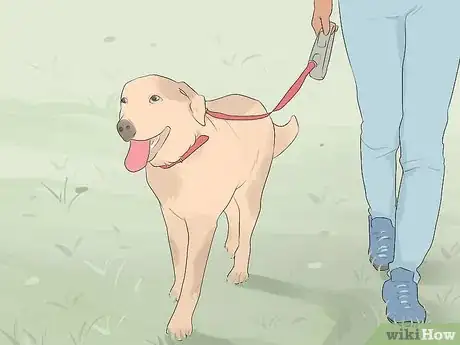 Image titled Care for Animals During the Coronavirus Outbreak Step 1