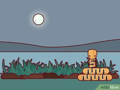 Image titled Identify a Timber Rattlesnake Step 9