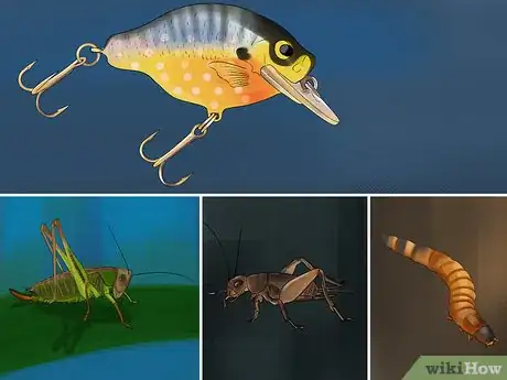 Image titled Catch Bluegill Step 1