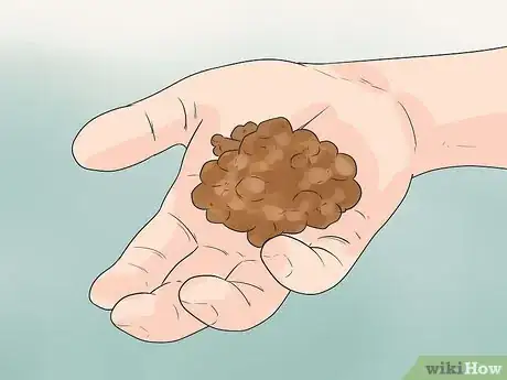 Image titled Teach a Dog to Read Sign Language Step 6