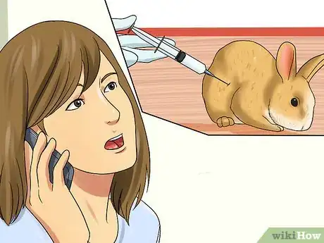 Image titled Adopt a Rabbit from a Shelter Step 12