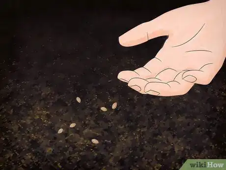 Image titled Grow Flowering Dogwood Step 8