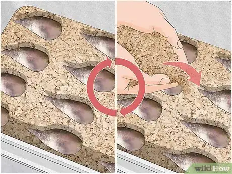 Image titled Cut Dahlia Tubers Step 14