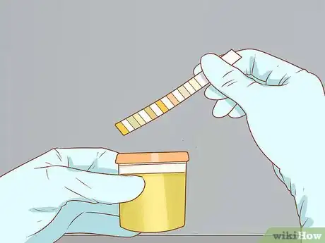 Image titled Care for an English Mastiff Step 4