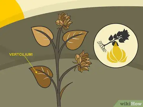 Image titled Prune Dahlias Step 09