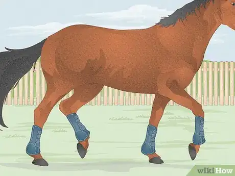 Image titled Fit a Horse for Support Boots Step 11