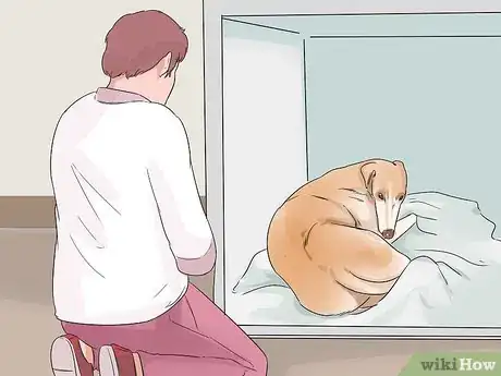 Image titled Adopt a Greyhound Step 5