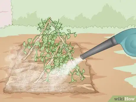 Image titled Use Organic Pesticides for Gardening Step 10