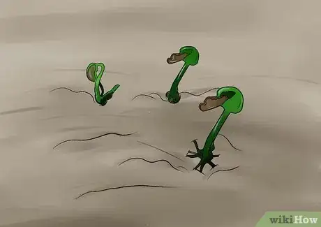 Image titled Germinate Beans on Moist Kitchen Paper Step 12