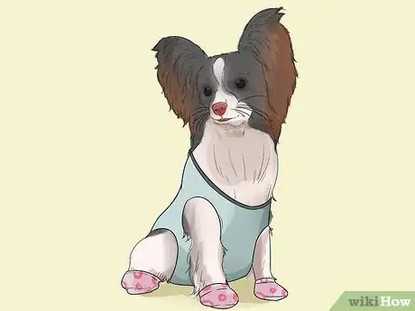 Image titled Help Your Dog Move in the Snow Step 5