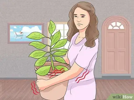 Image titled Recognize Japanese Encephalitis Symptoms Step 5