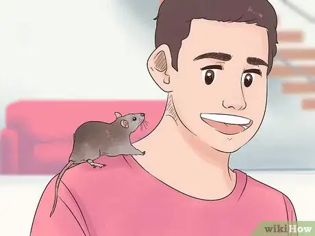 Image titled Exercise a Pet Rat Step 7