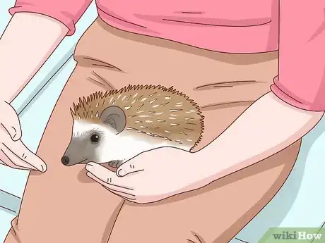 Image titled Take Care of a Hedgehog Step 4