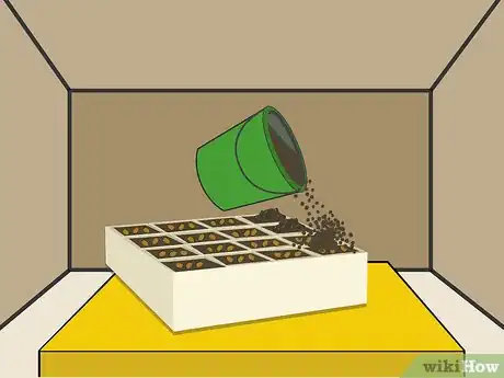 Image titled Grow Chrysanthemums Step 08