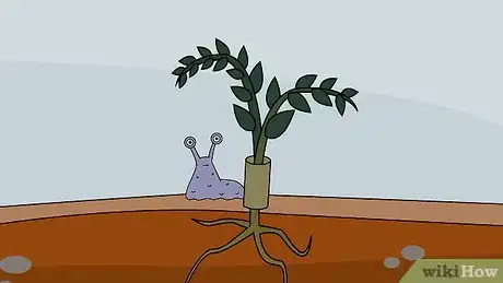 Image titled Grow a Tomato Plant Step 22