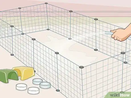 Image titled Help Two Guinea Pigs Get Along Step 5