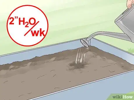 Image titled Grow Mustard Greens Step 6