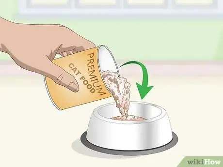 Image titled Prevent Stones in Cats Step 3