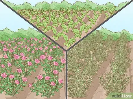 Image titled Start a Garden Step 1