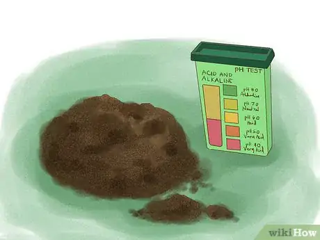 Image titled Start a Vegetable Garden Step 5