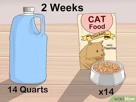 Image titled Make an Evacuation Kit for Your Cat Step 1