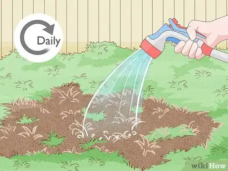 Image titled Repair a Bare Patch of Lawn Step 7