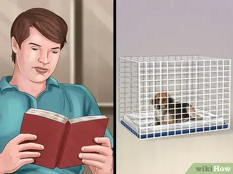 Image titled Introduce Training to a New Puppy Step 13