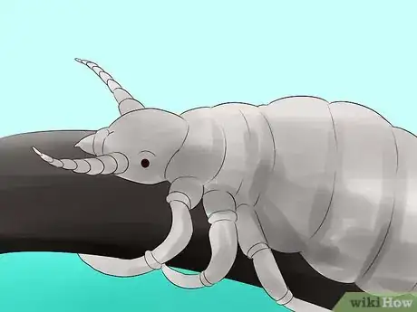 Image titled Get Rid of an Itchy Scalp Step 7