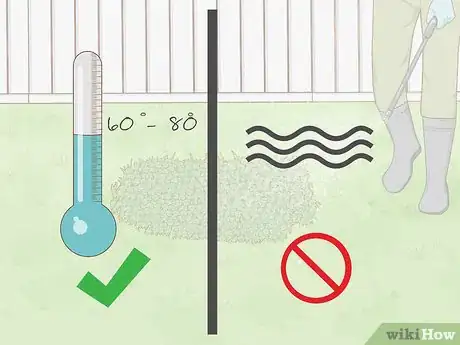 Image titled Get Rid of Ground Ivy Step 6