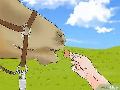 Image titled Load a Frightened Horse Into a Horse Trailer Step 7