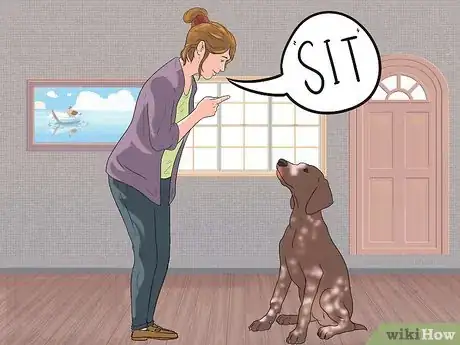 Image titled Care for German Shorthaired Pointers Step 17