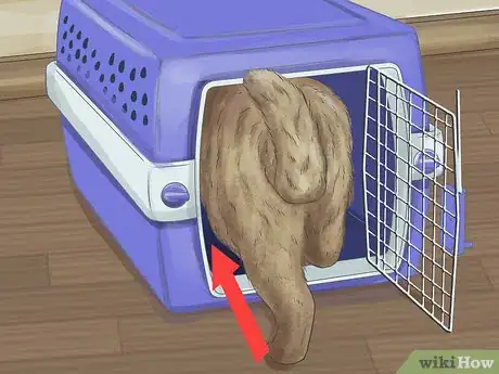 Image titled Capture an Angry or Upset Cat Step 12