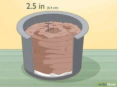 Image titled Grow Leeks from Leeks Step 9