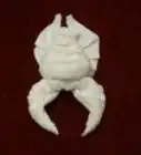 Fold a Towel Lobster