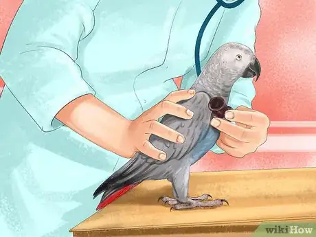 Image titled Prevent Infections in Parakeets Step 4