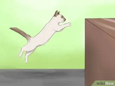 Image titled Identify a Javanese Cat Step 12