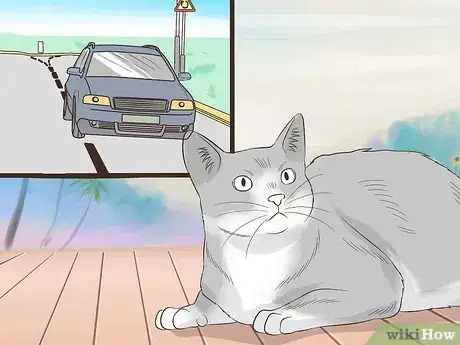 Image titled Keep a Cat Safe Step 5