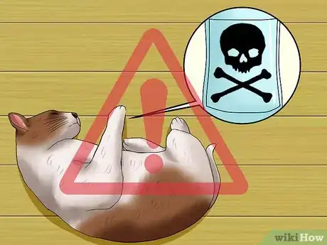 Image titled Help a Cat when No Vets Are Available Step 13