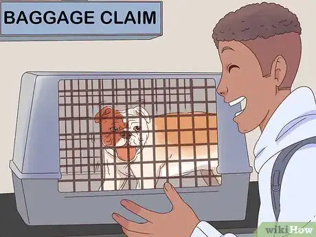 Image titled Travel with Dogs Step 16