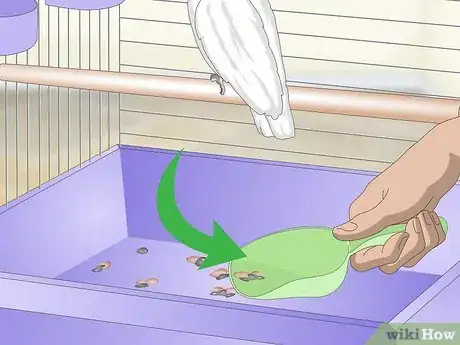 Image titled Clean a Cockatoo Cage Step 5