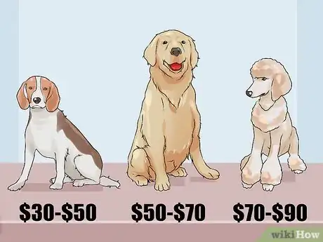 Image titled Find a Good Dog Groomer Step 8