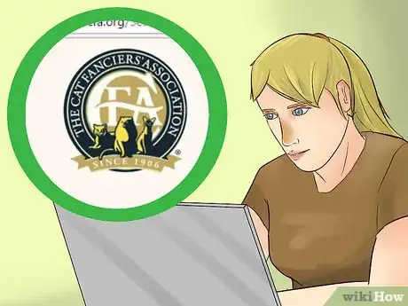 Image titled Identify a Javanese Cat Step 14