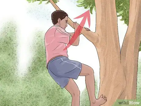 Image titled Free Climb a Tree Step 5